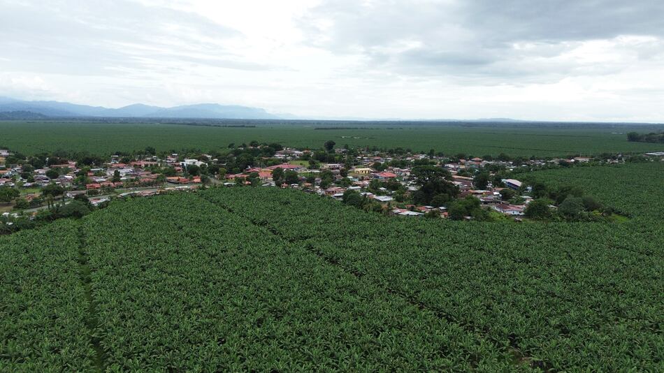 Chiquita Panamá inicia despido masivo de 5,000 trabajadores; este viernes entregará liquidaciones