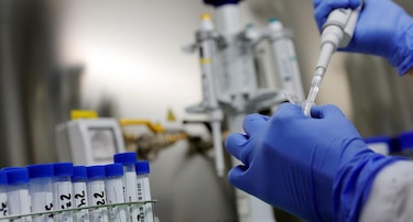 Identifican cerca de 100 mil nuevos tipos de virus previamente desconocidos para la ciencia