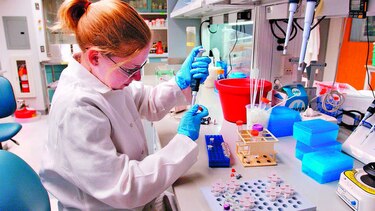 Mega Pharma busca financiamiento