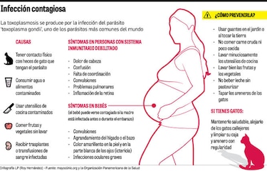 Toxoplasmosis, un riesgo latente