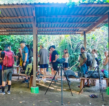 Parque Nacional Corcovado: el riesgo por el turismo que enfrenta en Costa Rica una de las reservas naturales más importantes del mundo
