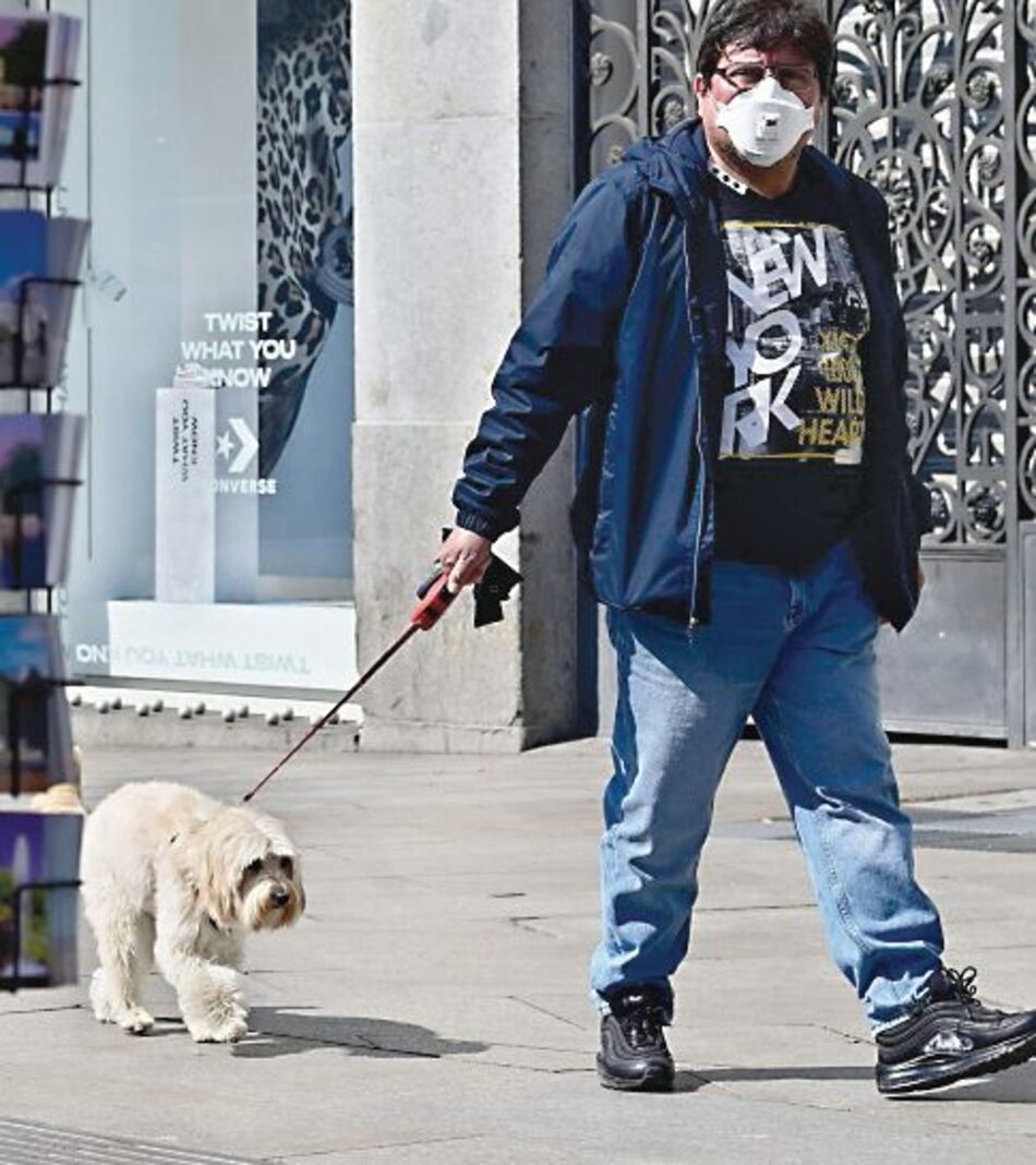 Perros, preciados en medio de la cuarentena