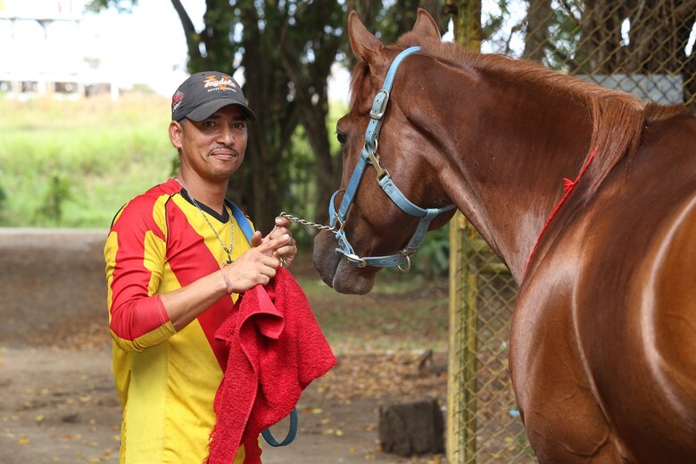 La curiosa vida de un mozo de corral en un hipódromo