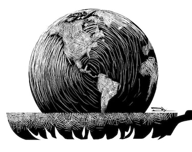 ¿Estamos adoptando medidas para proteger al ambiente?