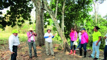 Gas Natural Fenosa apoya el cuidado del ambiente
