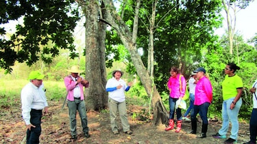 Gas Natural Fenosa apoya el cuidado del ambiente