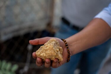 El exitoso emprendimiento hondureño que logró convertir el aceite de cocina usado en jabón y comida para perros