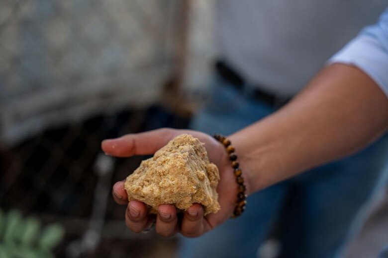 El exitoso emprendimiento hondureño que logró convertir el aceite de cocina usado en jabón y comida para perros