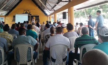 Productores de arroz de Chiriquí anuncian protesta pacífica para exigir apoyo al sector