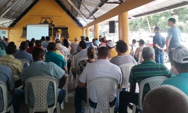 Productores de arroz de Chiriquí anuncian protesta pacífica para exigir apoyo al sector