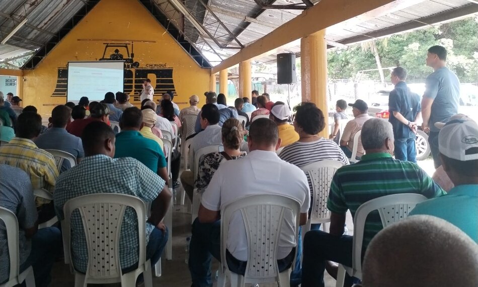 Productores de arroz de Chiriquí anuncian protesta pacífica para exigir apoyo al sector