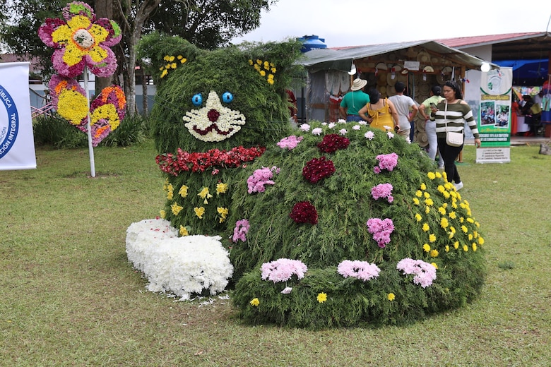 Más de un millón de flores adornan a la comunidad de Volcán en Tierras Altas