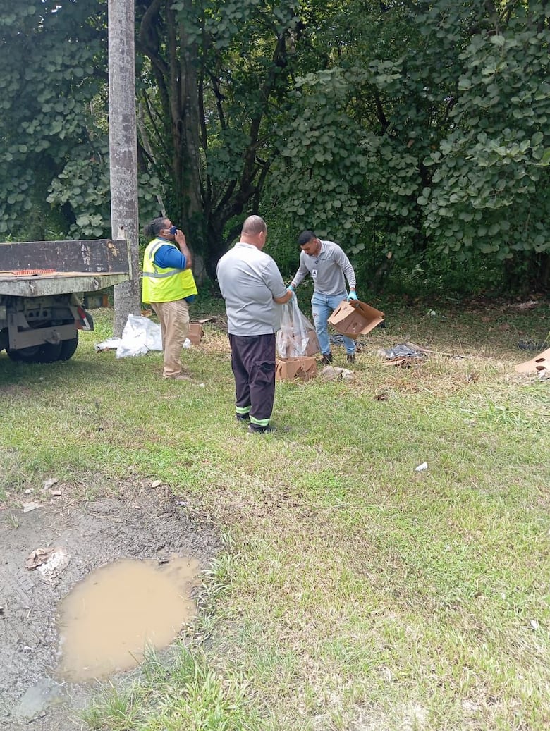 Detectan otro vertedero clandestino con animales muertos cerca del aeropuerto; alertan de riesgo para las operaciones aéreas
