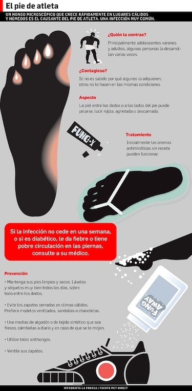 Al paso de los hongos