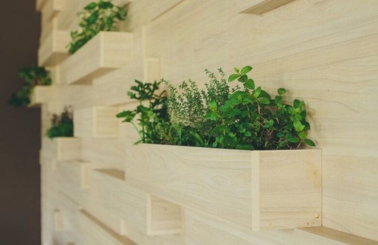 Diseños panameños se expondrán en Bienal de Madrid en noviembre