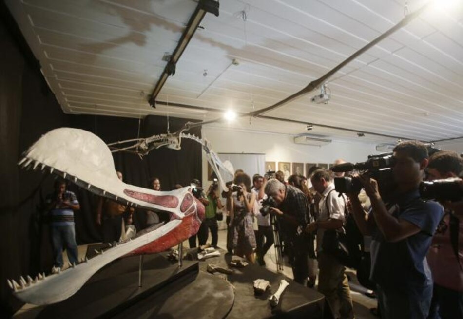 Presentan esqueleto de reptil volador gigante en Río de Janeiro