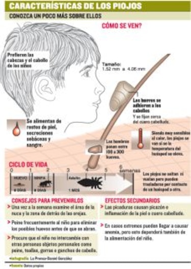 Regreso a clases 2026 en Panamá: señales de alerta y tratamiento contra los piojos