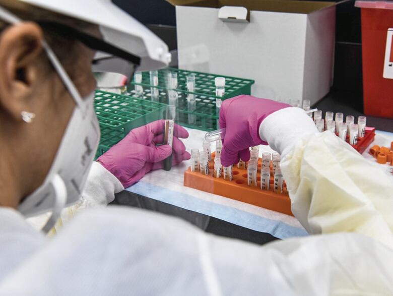 Once vacunas contra la Covid-19, en la recta final