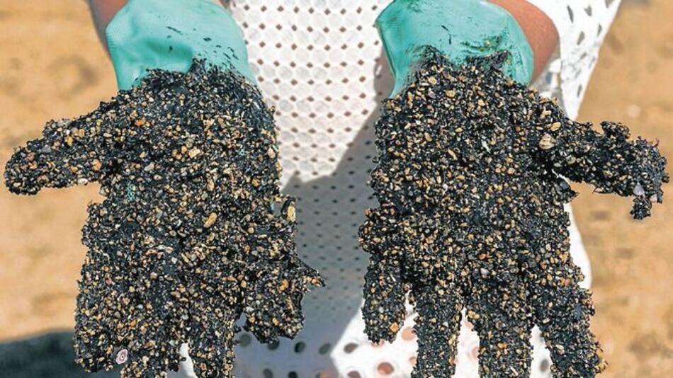 El impacto de la inédita marea negra en Brasil