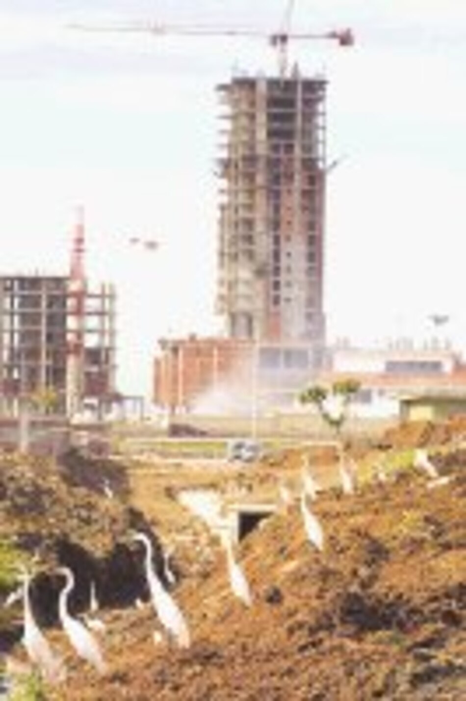 Instalan primera Junta Técnica de Bienes Raíces