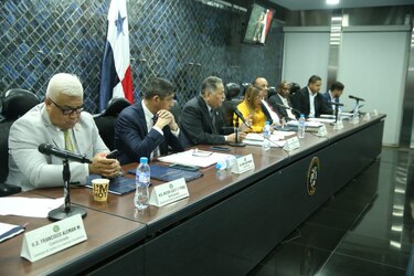 Con una resolución, comisión intenta frenar debate minero