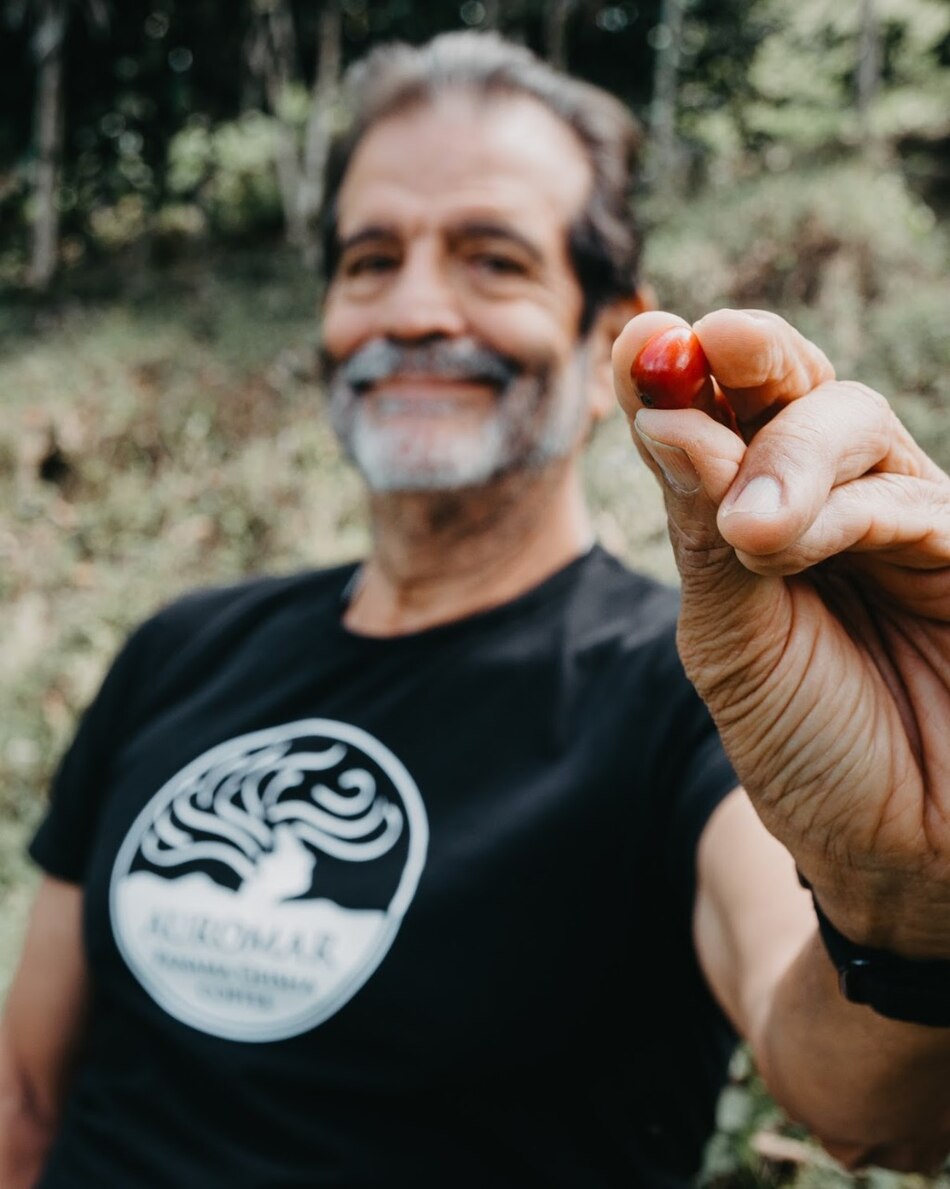 Panamá rompe récord con el Geisha casi perfecto