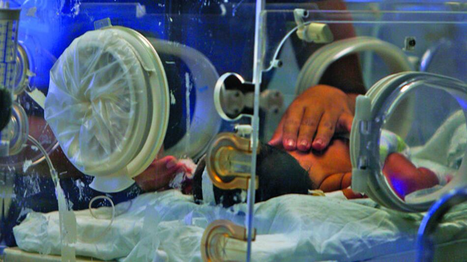 Senniaf debe normar ley sobre abandono