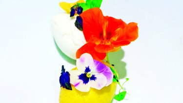COCINA GOURMET: Seré el anfitrión