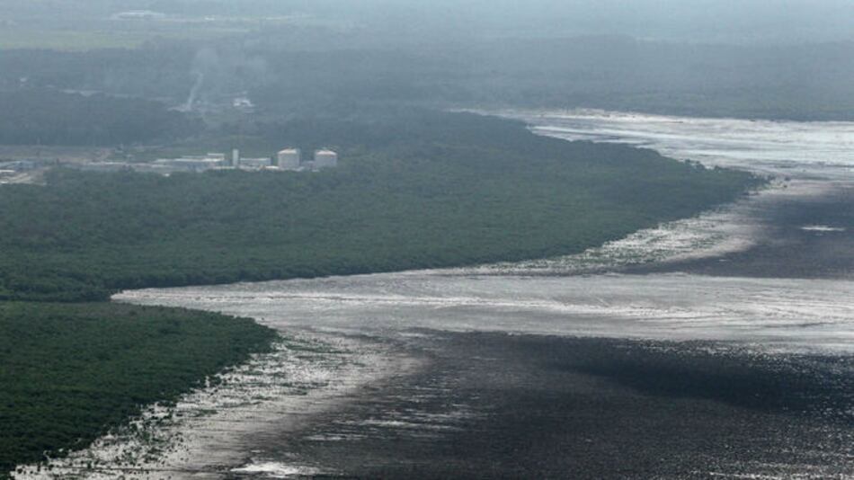 Corte Suprema revoca estudio ambiental de Vertikal