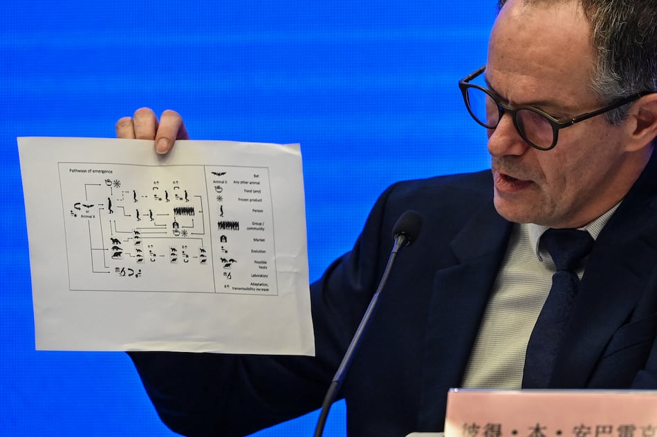 El animal que originó la Covid-19 ‘no se ha identificado aún’, según misión de la OMS