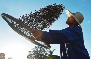 El café sube a precios máximos
