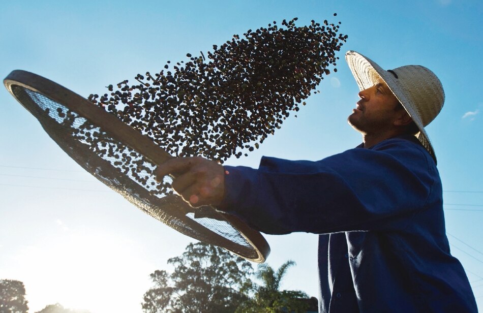 El café sube a precios máximos