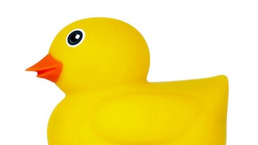 El pato Edwin, juguete interactivo para niños