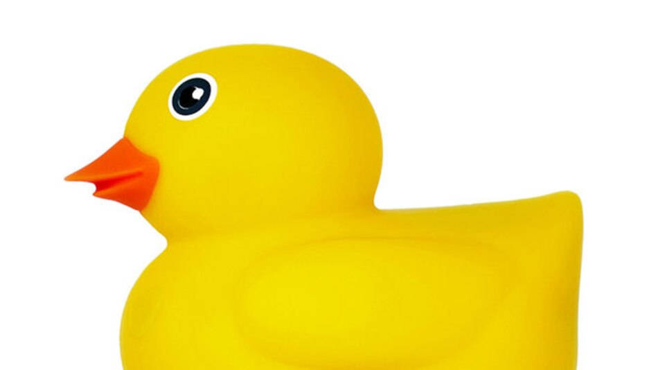 El pato Edwin, juguete interactivo para niños