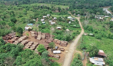 Exigen mayor vigilancia en las selvas de la provincia de Darién