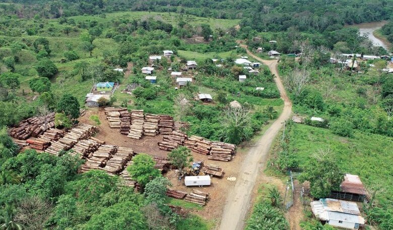 Exigen mayor vigilancia en las selvas de la provincia de Darién