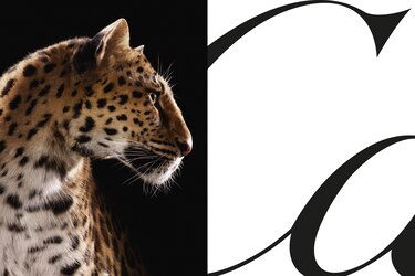 Cartier celebra a su ícono felino