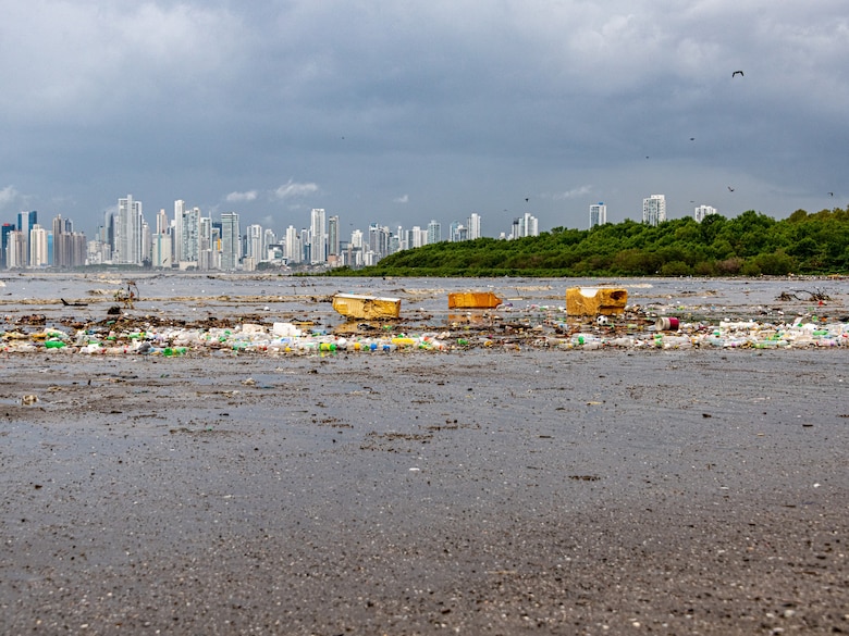 ‘Estrés hídrico’ en los manglares de la bahía de Panamá y Chame por el fenómeno de El Niño
