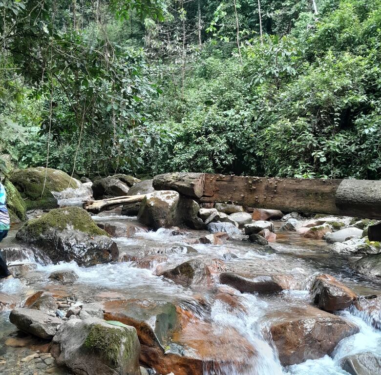 Macizo Colombiano: Un viaje entre paisajes imponentes, historia ancestral y cielos estrellados