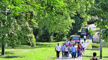 $800 mil para el parque Omar