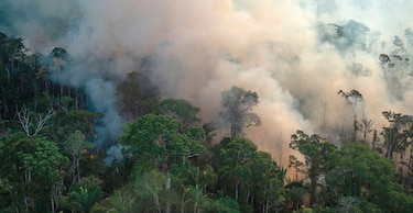 Deforestación de la Amazonía  marca récord 