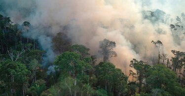 Deforestación de la Amazonía marca récord