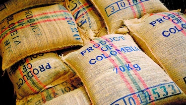 Lluvias afectan cosecha de café
