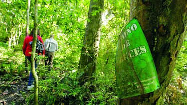 Miambiente convoca a siete consultas ciudadanas de áreas protegidas en pleno periodo electoral