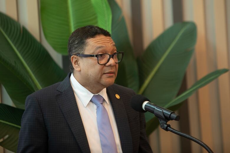 Dino Mon afirma que la Ley 462 está vigente y no será modificada por la CSS