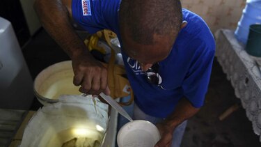 ONU: Detener el zika podría requerir insectos modificados