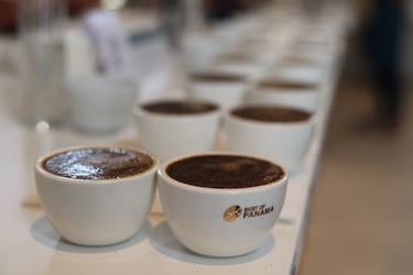 De la finca al café de alto valor: la transformación detrás de una taza de geisha