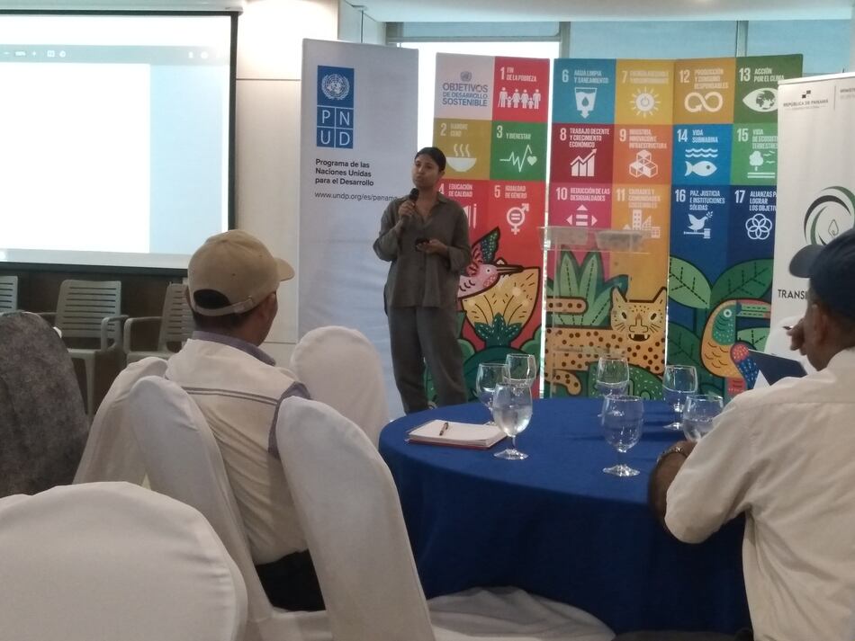 Transición energética bajo la lupa de los ciudadanos