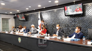 Comisión de Gobierno prohíja anteproyecto que elimina la pena accesoria