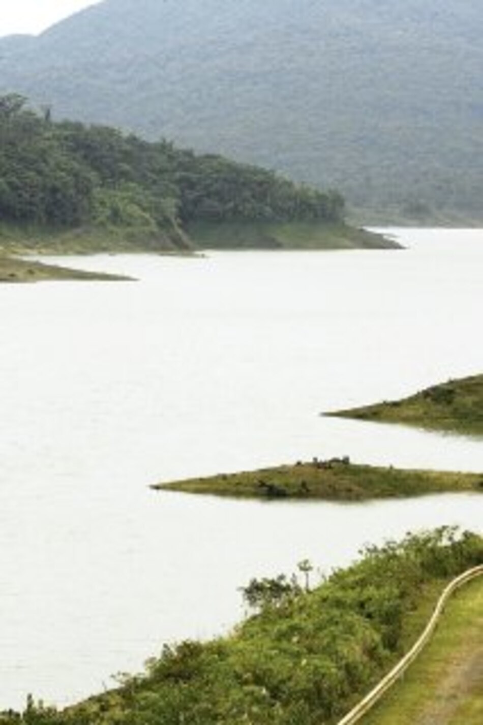 55% de la energía es hidro